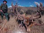 Pero Jelinic, 75, was killed by a stray bullet in South Africa on Saturday as he hunted lions to add to his trophy collection