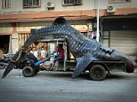 nChinese fishermen Cai Chengzhu, 48, took centre stage at the fish market in the city of Shishi in south China¿s Fujian province after he turned up with this two ton whale shark.nnAlthough illegal to catch he claimed that the huge whale shark, which is an endangered species, had swum into his net chasing other fish.nnHe said: As you can see it had eaten a fair few but after being trapped in the net, it had died. By the time we managed to free it, sadly it was too late. It was really unfortunate and we did our best to free it, but having caught it and because it was already dead, it seemed a shame to waste it.nnSo he had put the huge whale shark in with the rest of his fish, and brought it back with him to the fish market where he sold it off together with all the other fish.nnHe said: It was almost 5 metres long and weighed more than two tons. He added that he had put it on sale with an asking price of 20,000 GBP even though they weren't sure if it was even legal to sell