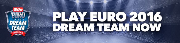 DREAM TEAM DT EURO BANNER 742