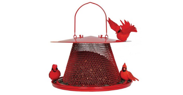 No No Red Cardinal Bird Feeder