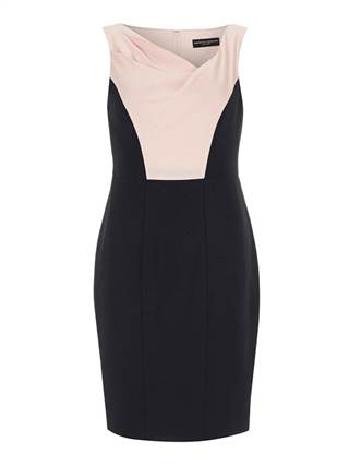 Dorothy Perkins cowl neck dress