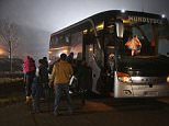 SUMTE, GERMANY - NOVEMBER 02:  Migrants seeking asylum in Germany arrive by bus at a former office park that has become short-term accommodation for migrants on November 2, 2015 in Sumte, Germany. Sumte, a farming village located southwest of Hamburg, has a population of 102, and starting later today it is to receive 500 migrants who will be housed in an abandoned office park on the village edge. The number of migrants at the shelter could reach up to 750 in coming weeks as Germany struggles to accommodate the unrelenting flood of migrants arriving at a rate of thousands per day. Authorities are distributing migrants seeking asylum in Germany at shelters nationwide, both in urban centers and in small, rural communities.  (Photo by Sean Gallup/Getty Images)