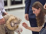 Please to meet you Fred! The Duchess of Cambridge came face-to-face with Fred the Ram at Sydney's Royal Easter show on Friday