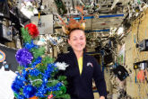 Elena Serova grows an apple tree on the International Space Station