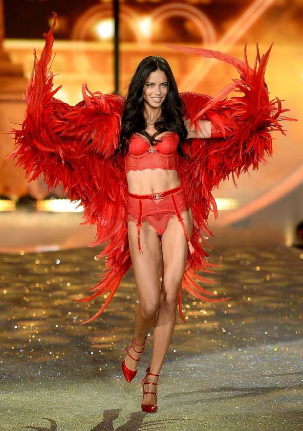 Adriana Lima: $8.66m