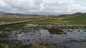 Puerto Rico's farmers never want to see this again