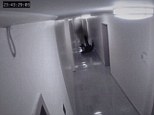 Man and 'ghost' appear to be locked in a tussle on the floor as the victim tries to get on his feet