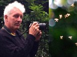 A university lecturer is claiming to have photographed these 'fairies' flying through the air in the British countryside