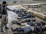 GRAPHIC CONTENTnA Kurdish fighter points at alleged IS militants laying dead on the ground in the village of Halimce, east of the Syrian town of Kobane, also known as Ain al-Arab, on January 30, 2015. Kurdish forces recaptured the town on the Turkish frontier on January 26, in a symbolic blow to the jihadists who have seized large swathes of territory in their onslaught across Syria and Iraq. AFP PHOTO/BULENT KILICBULENT KILIC/AFP/Getty Images