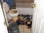 Filthy: The toilet, sink and bathtub were not working in the family's main bathroom, pictured