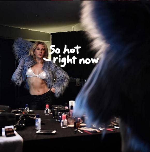 Ellie Goulding poses in sheer bra.