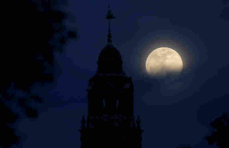 A blue moon rises over Balboa Park's California Tower in San Diego.